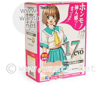Toy's Heart 17 Evolution