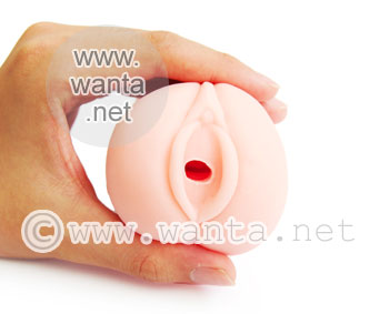 Toy's Heart 17 Evolution - View 4