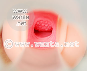Toy's Heart 17 Evolution - View 11
