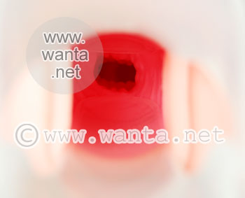 Toy's Heart 17 Evolution - View 12