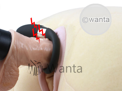Lelo Insignia - Oden 2 - View 28