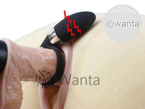 Lelo Insignia - Oden 2 - View 29