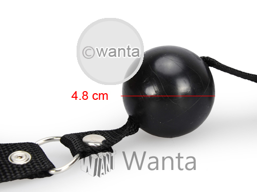 Fetish Fantasy Series Beginner's Ball Gag – Black - View 5