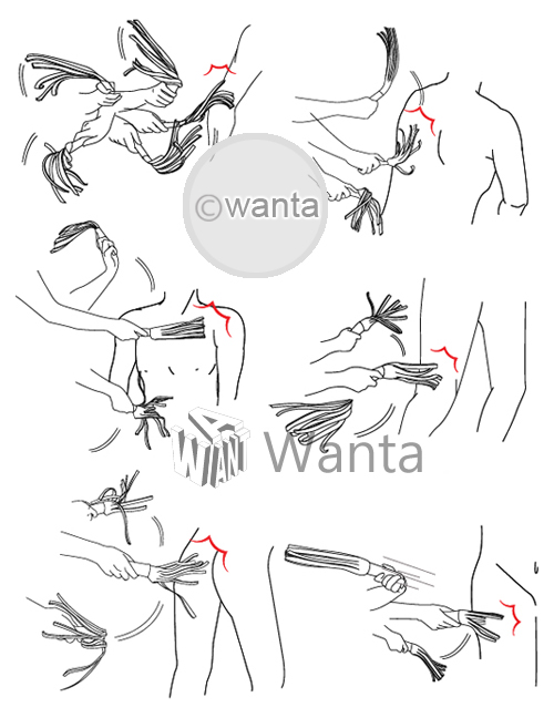 Toynary MT10 (Nearly Painless Whip) - View 16