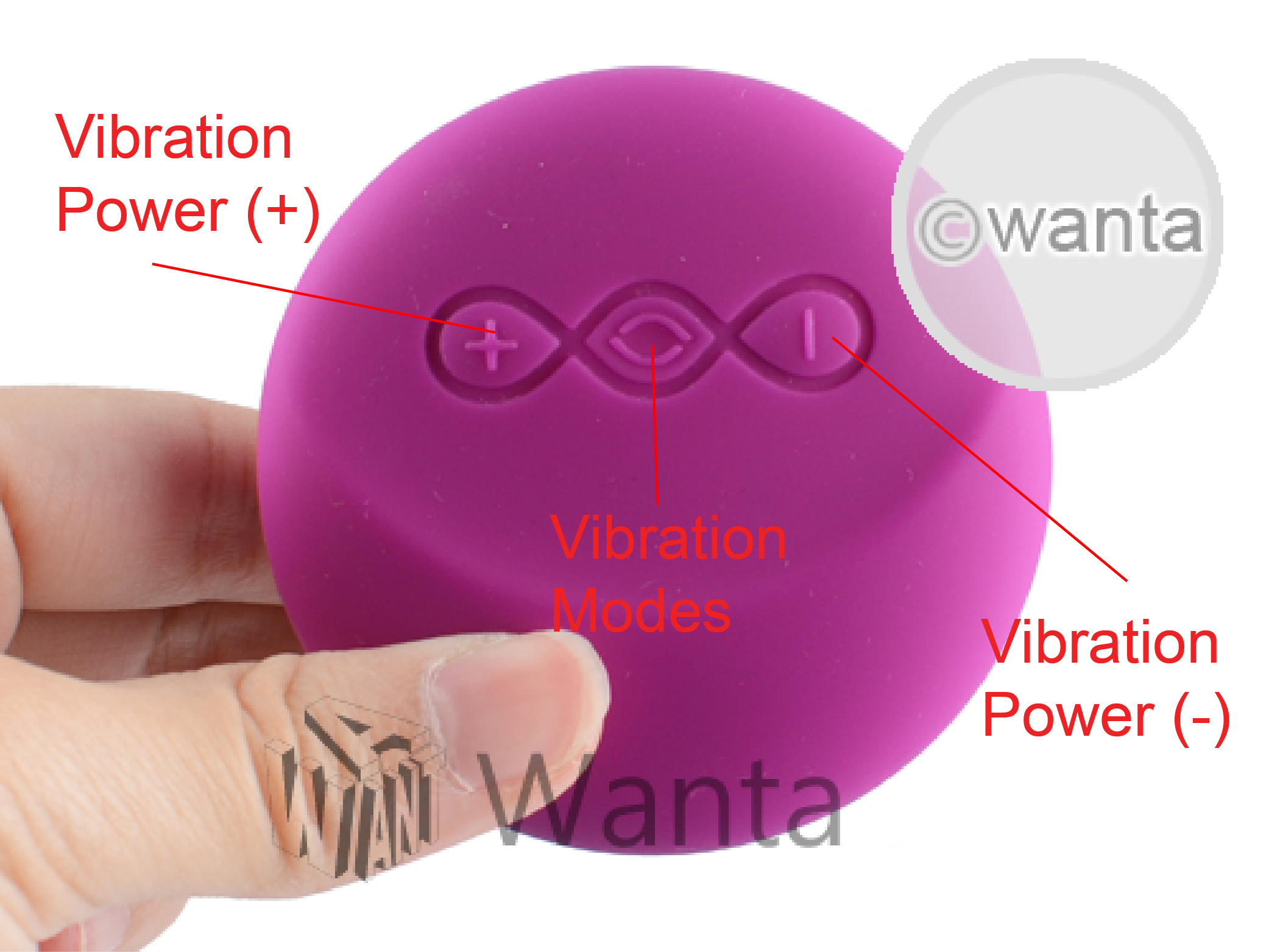 Lelo Tiani 24K - View 15