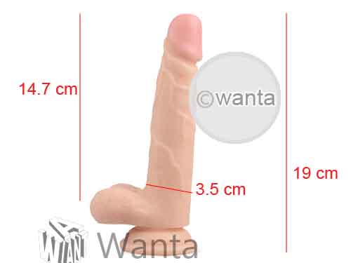 Toynary DL08 Dildo - View 5