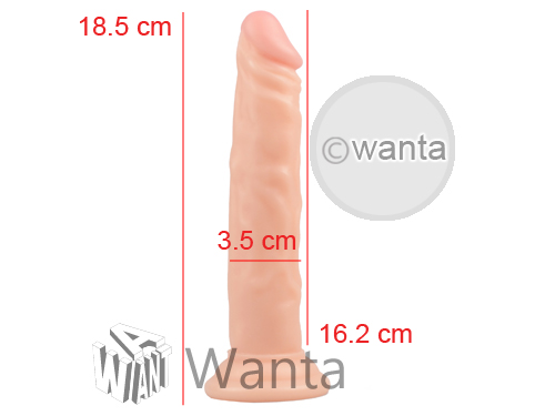 Toynary DL13 Dildo - View 5