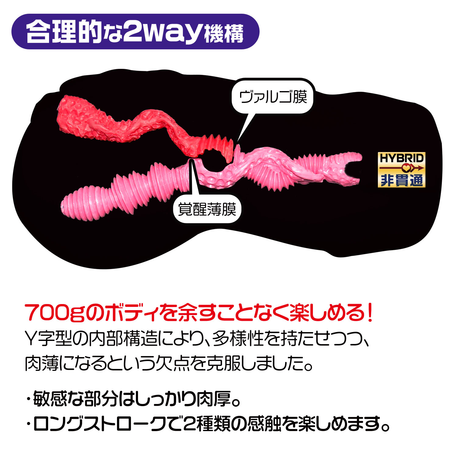 Magic Eyes La vie en ROSES - Mild Soft Edition - View 5