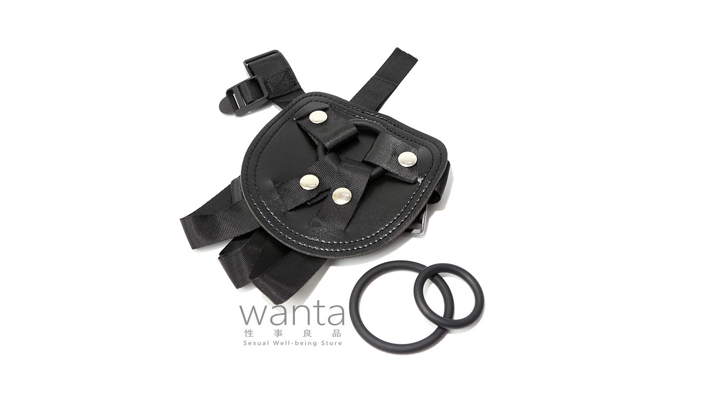 Chisa - R.G.B The Basic Harness - View 5