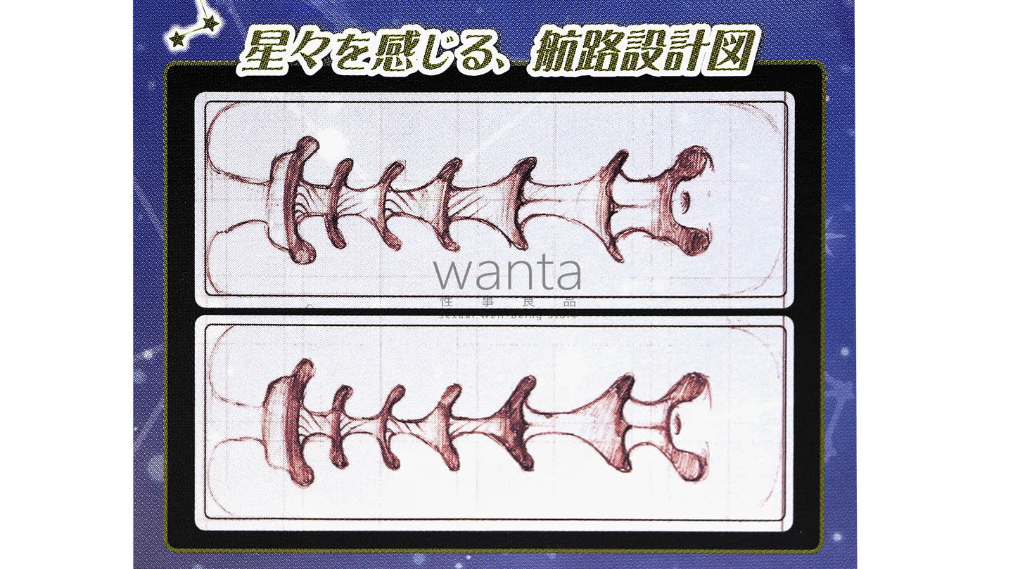 Toy's Heart Zodiac Sign - Gemini - View 11