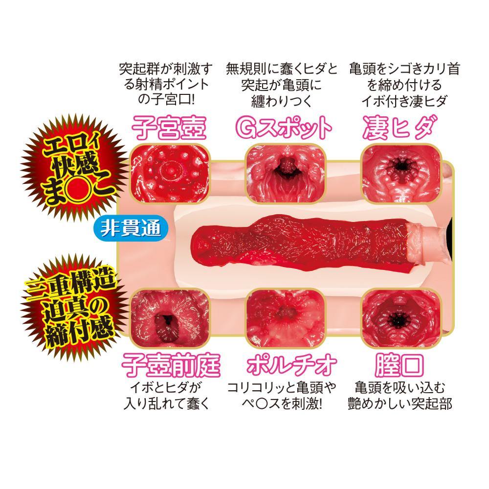 NPG - Lemon Tanaka File 013 Vibro Masturbator - View 2