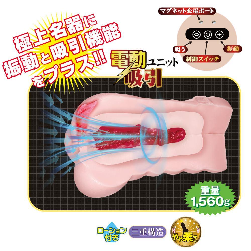 NPG - Lemon Tanaka File 013 Vibro Masturbator - View 3