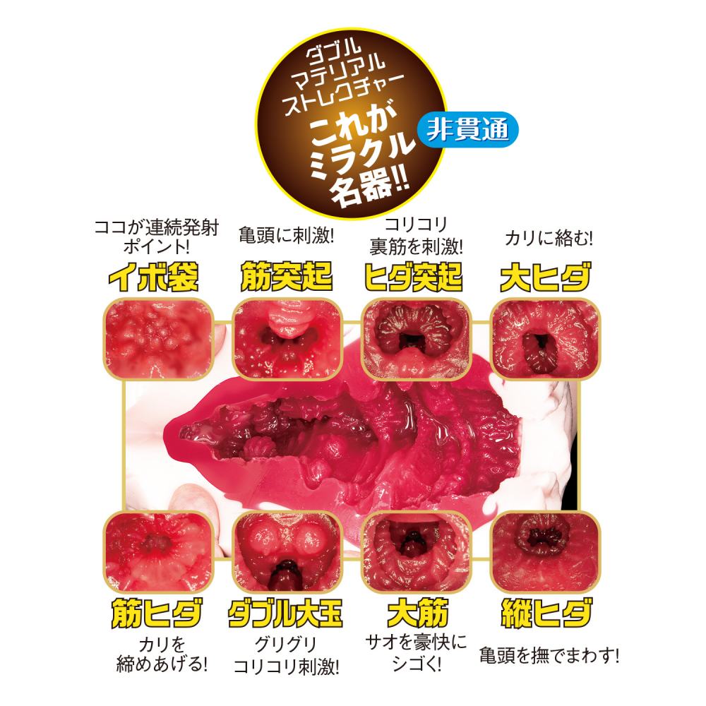NPG - Eimi Fukada File 012 Vibro Masturbator - View 2