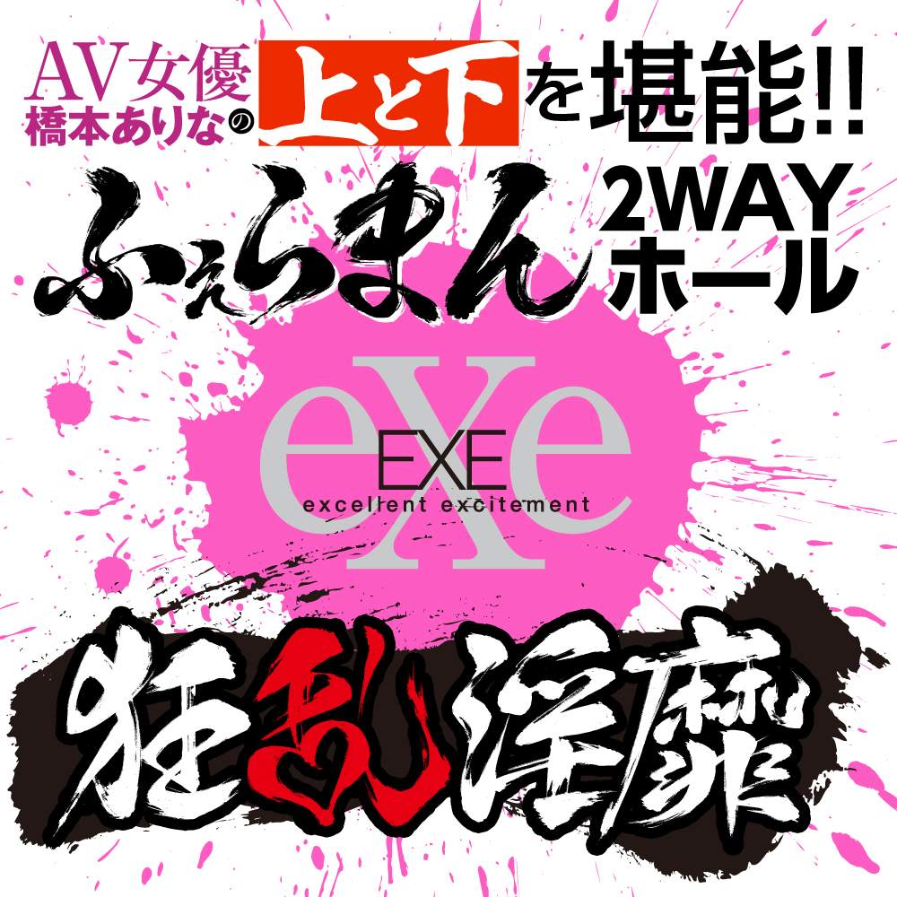 EXE - Arina Hashimoto 2 Way Hall Masturbator - View 6